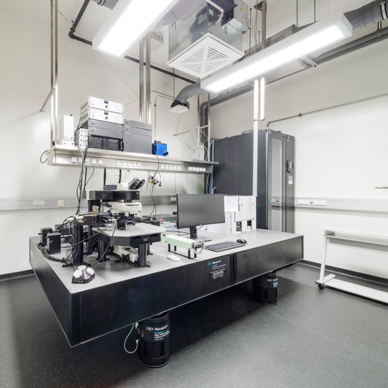 ��Ⱦ�����о�����