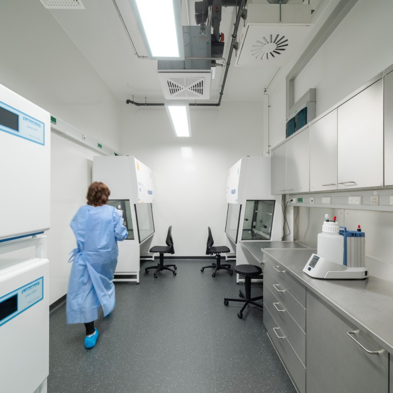 ��Ⱦ�����о�����